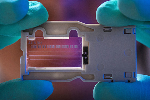 A scientist holds up a slide with DNA markers on it.