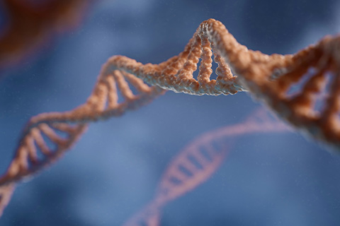 A strand of DNA