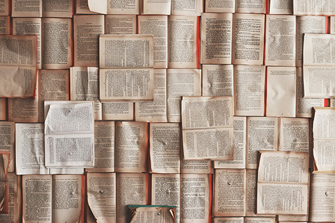 Lots of open books arranged side by side and on top of each other.